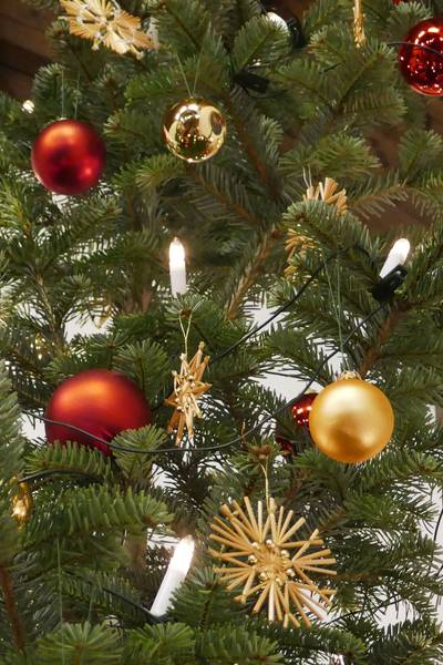 Weihnachtsschmuck an einer Tanne