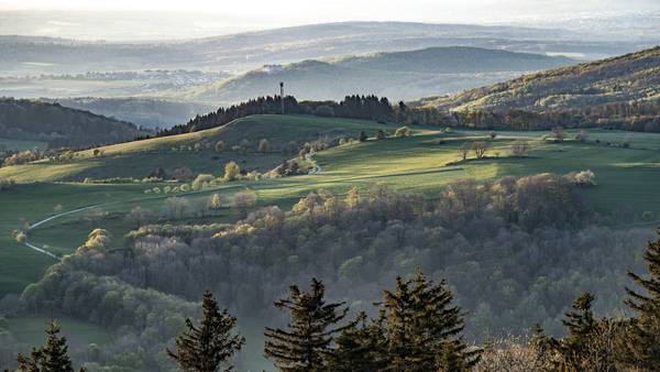 Blick über Hügellandschaft mit Wiesen und Bäumen